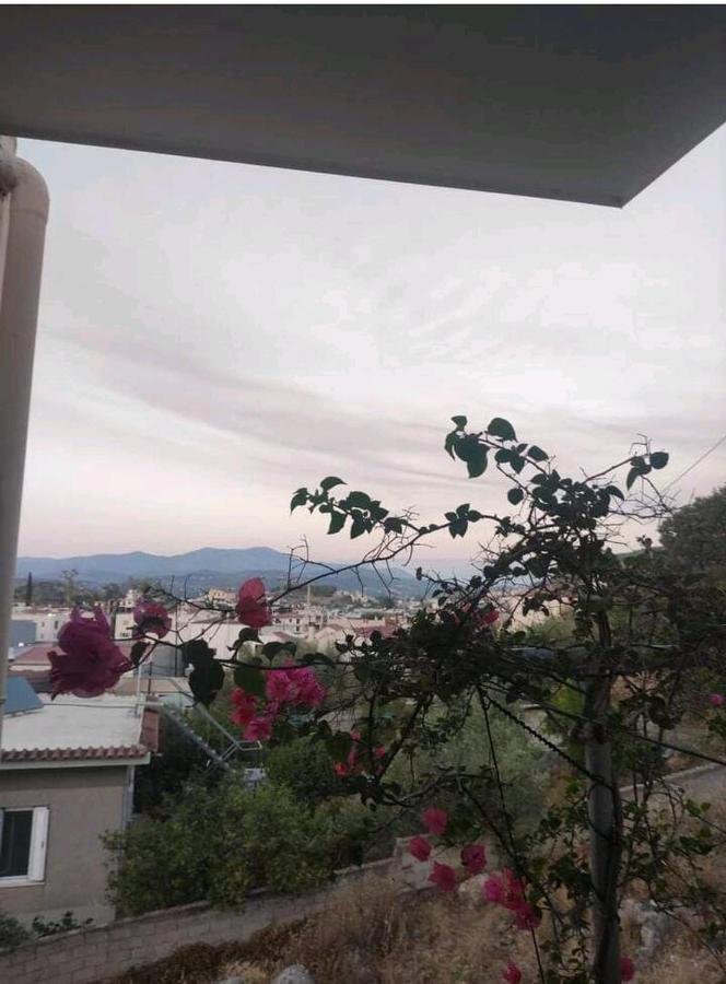 Όμορφο Και Ευρύχωρο Διαμέρισμα Με Θέα! Apartman Návplio Kültér fotó